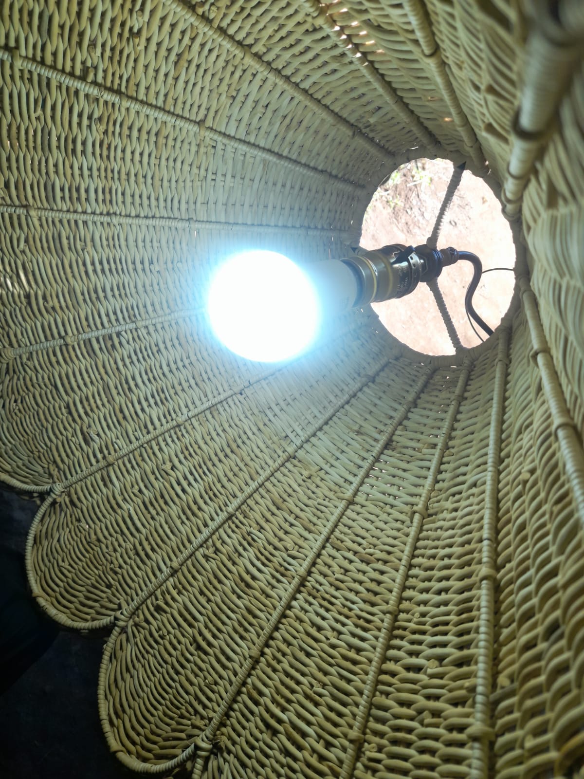 WhatsApp Image 2025-07-10 at 15.57.50